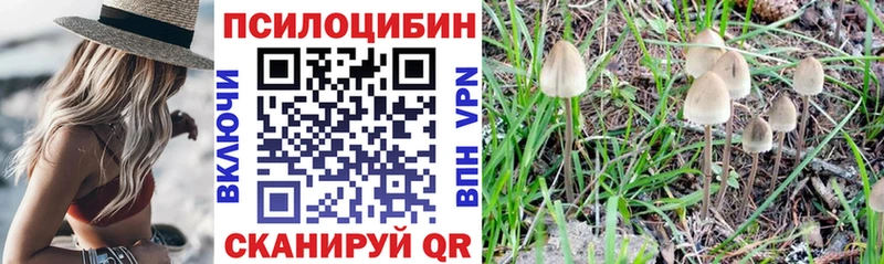 Галлюциногенные грибы Cubensis  наркота  Ивангород 